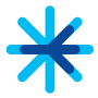 Interjet airline logo