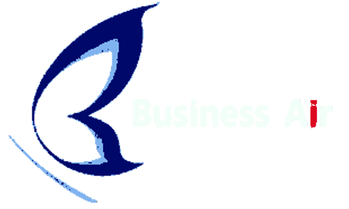 BCC airline logo