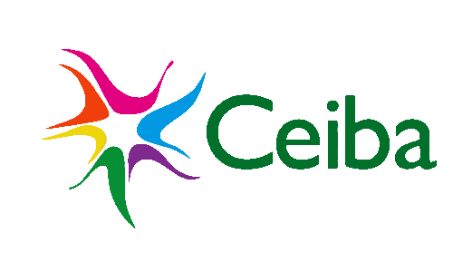 CEL airline logo