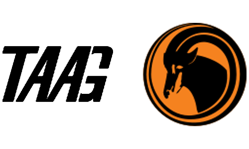 TAAG Angola Airlines airline logo