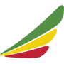 Ethiopian Airlines airline logo