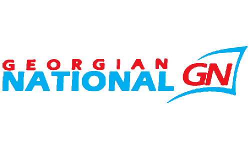 Georgian National Airlines airline logo