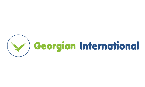 GNN airline logo