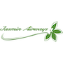 Jamahiriya Airways airline logo