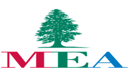Middle East Airlines airline logo