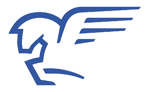 N78 airline logo