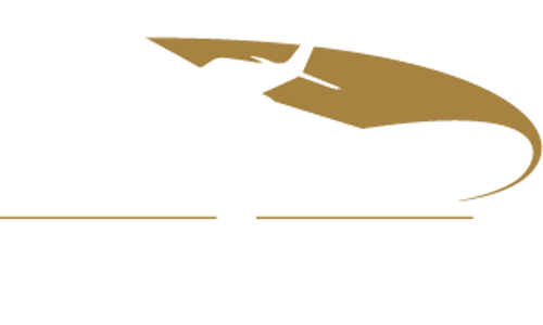 Potomac Air airline logo