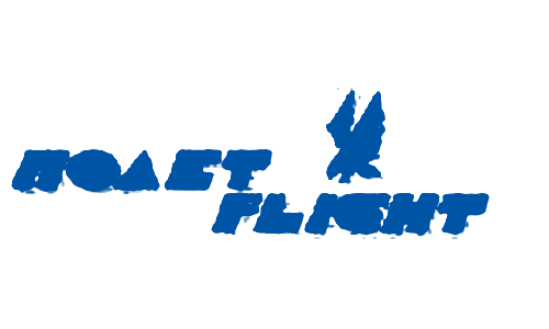 Polet Flight airline logo